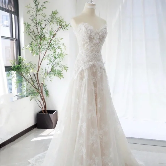 Elegant Lace Wedding Dress - Picture 1 of 7